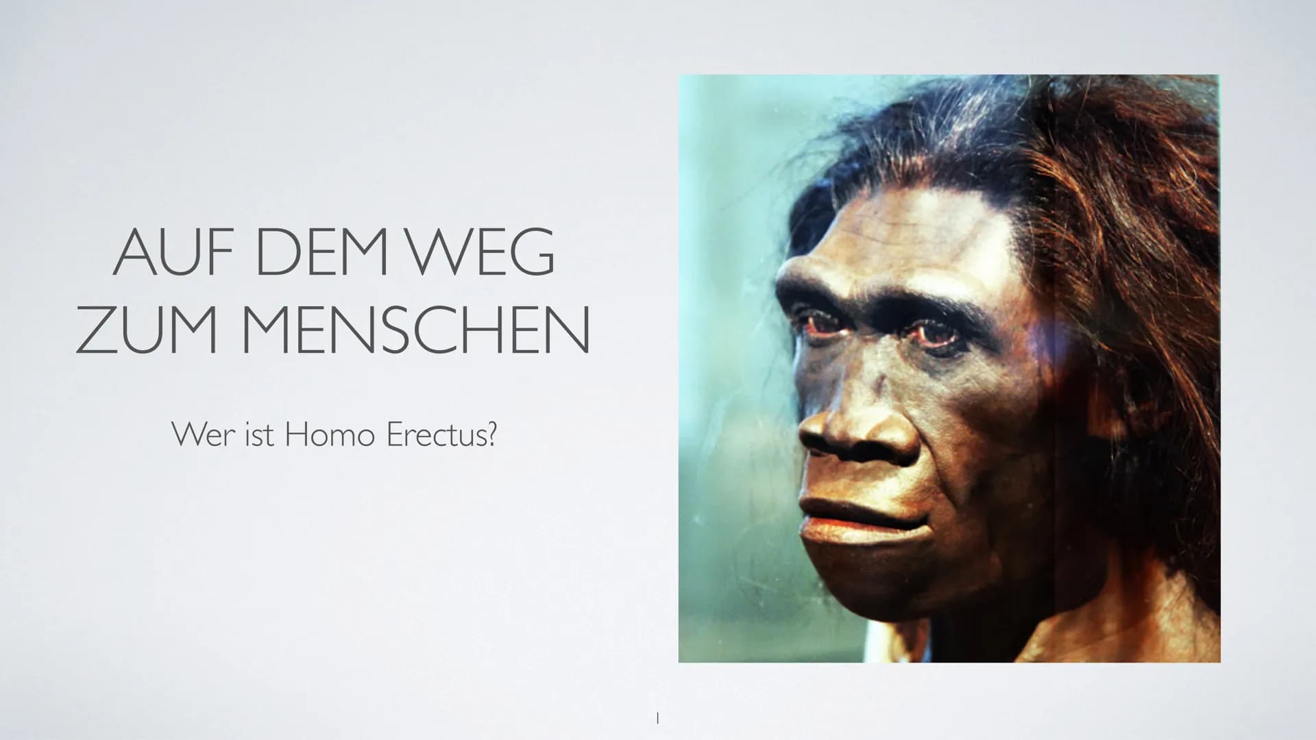 AUF DEM WEG
ZUM MENSCHEN
Wer ist Homo Erectus? ●
●
●
●
●
INHALTSVERZEICHNIS
Bedeutung des Namens
Entdeckungsort
Lebzeit/Lebensort
Beschaffen