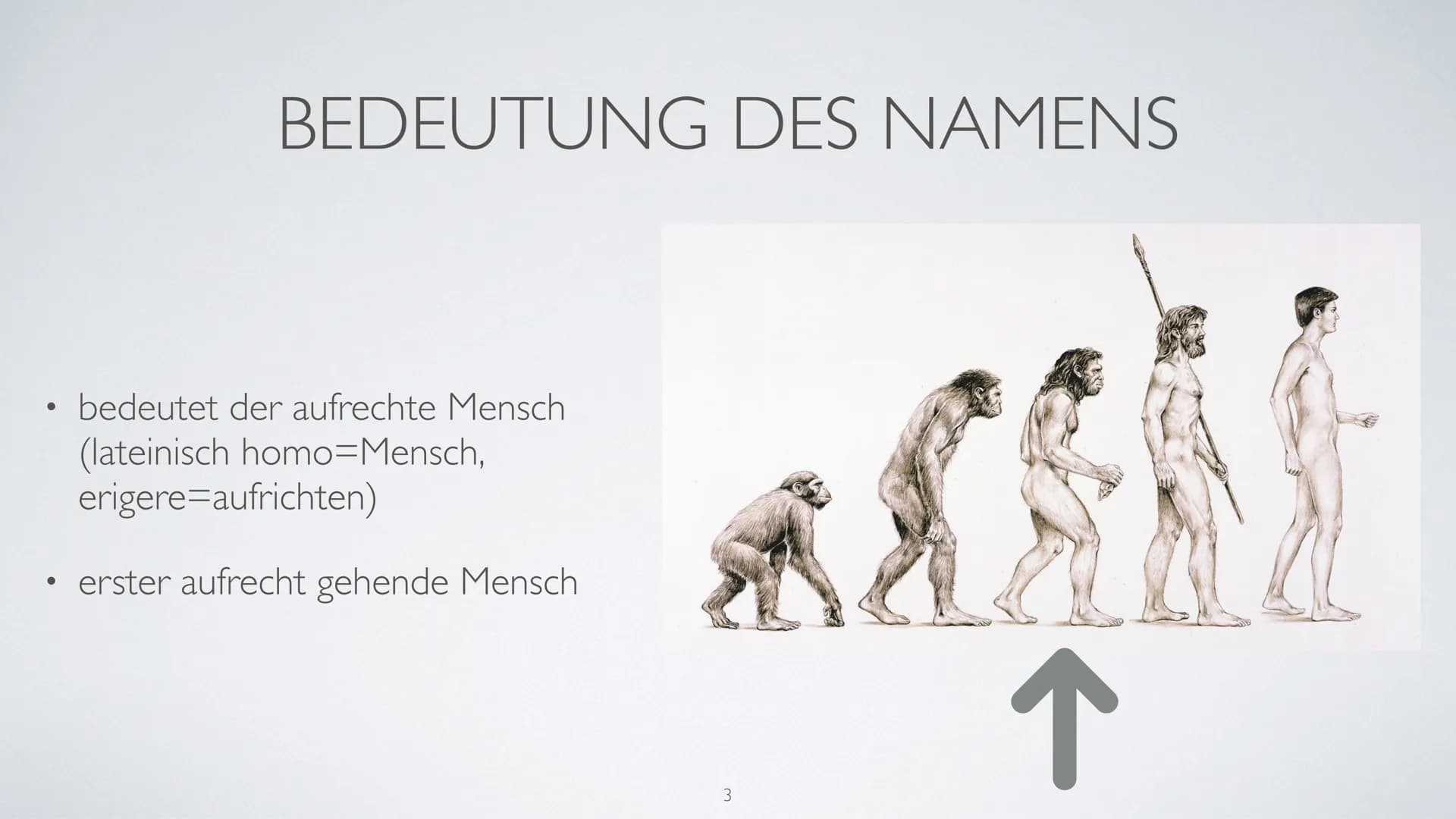 AUF DEM WEG
ZUM MENSCHEN
Wer ist Homo Erectus? ●
●
●
●
●
INHALTSVERZEICHNIS
Bedeutung des Namens
Entdeckungsort
Lebzeit/Lebensort
Beschaffen