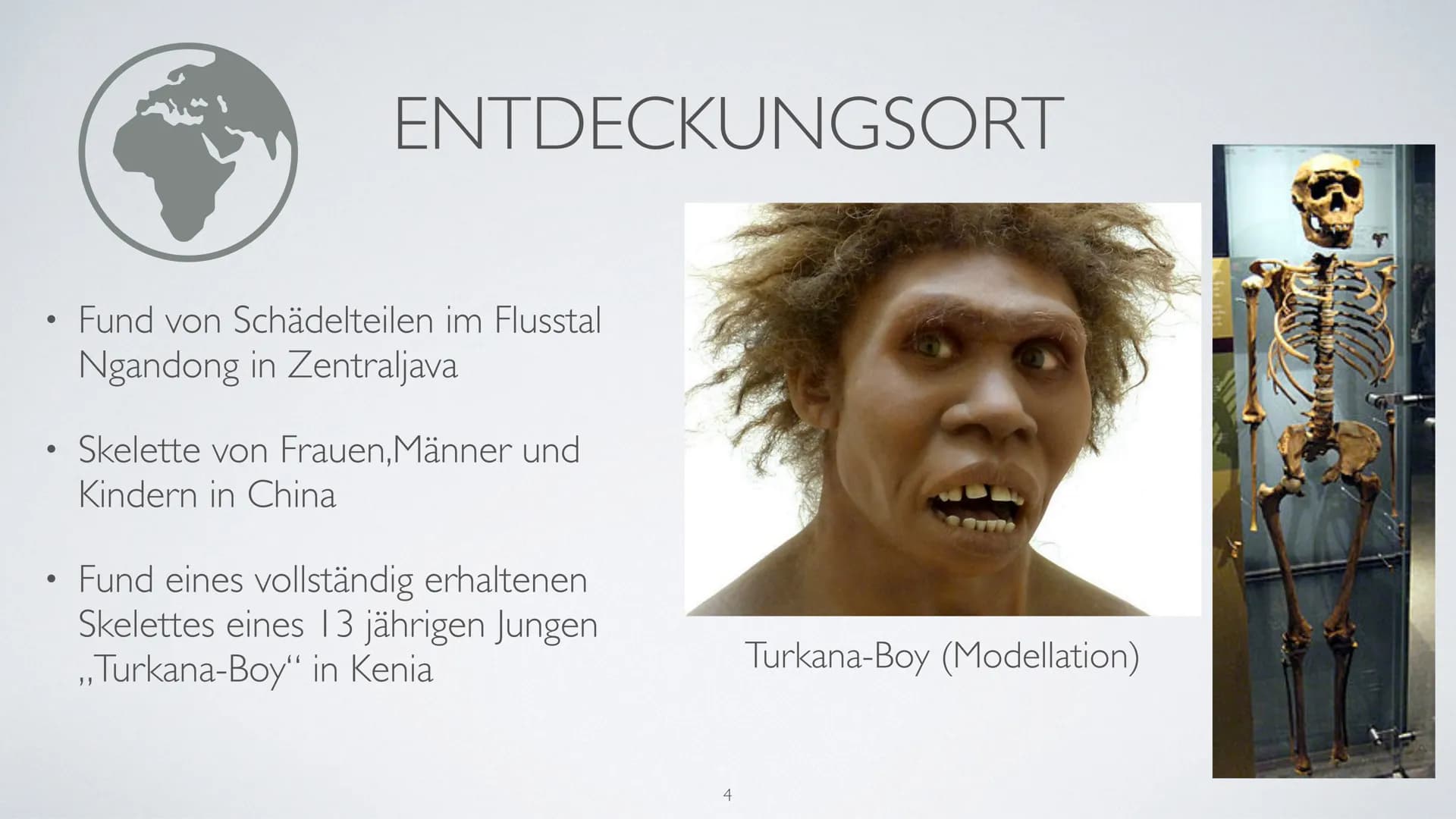 AUF DEM WEG
ZUM MENSCHEN
Wer ist Homo Erectus? ●
●
●
●
●
INHALTSVERZEICHNIS
Bedeutung des Namens
Entdeckungsort
Lebzeit/Lebensort
Beschaffen