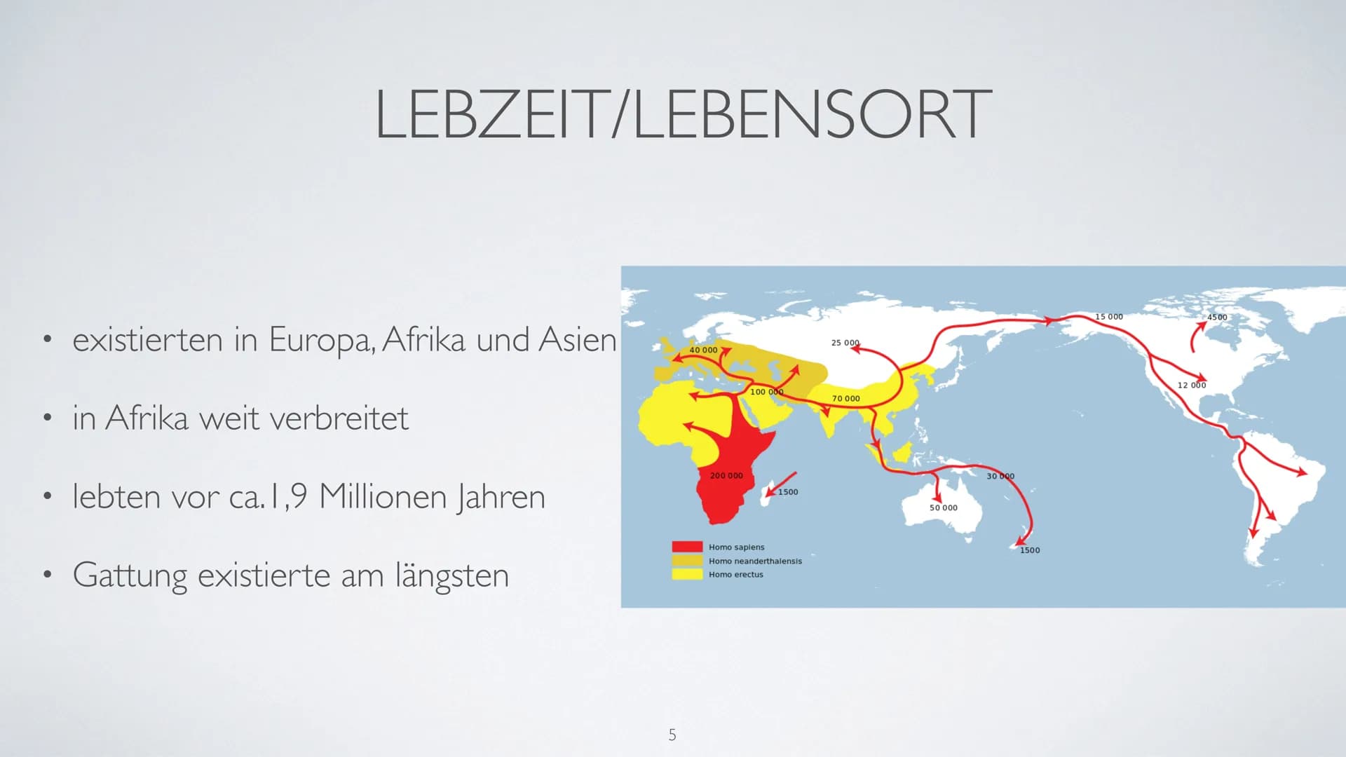 AUF DEM WEG
ZUM MENSCHEN
Wer ist Homo Erectus? ●
●
●
●
●
INHALTSVERZEICHNIS
Bedeutung des Namens
Entdeckungsort
Lebzeit/Lebensort
Beschaffen