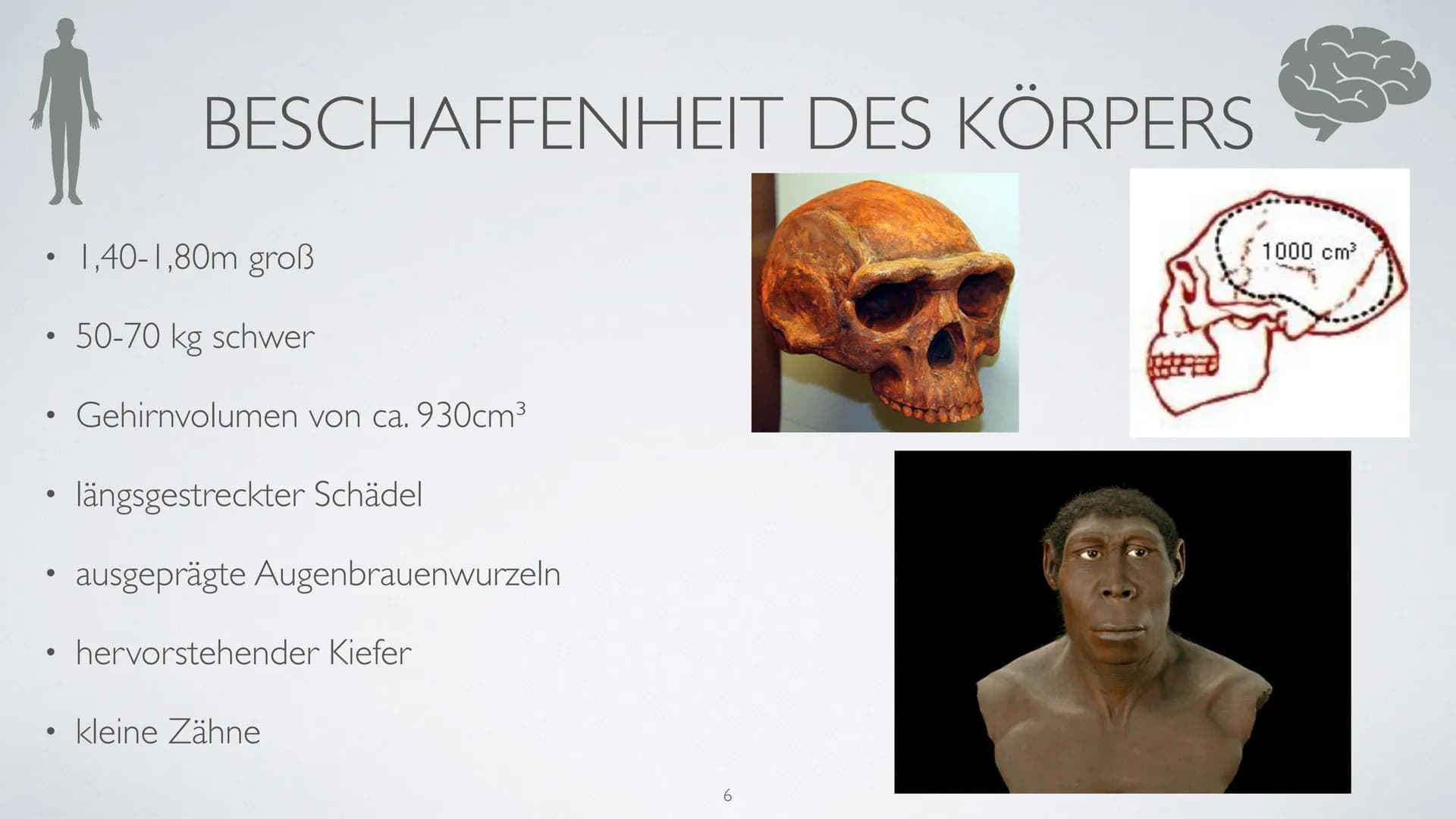 AUF DEM WEG
ZUM MENSCHEN
Wer ist Homo Erectus? ●
●
●
●
●
INHALTSVERZEICHNIS
Bedeutung des Namens
Entdeckungsort
Lebzeit/Lebensort
Beschaffen