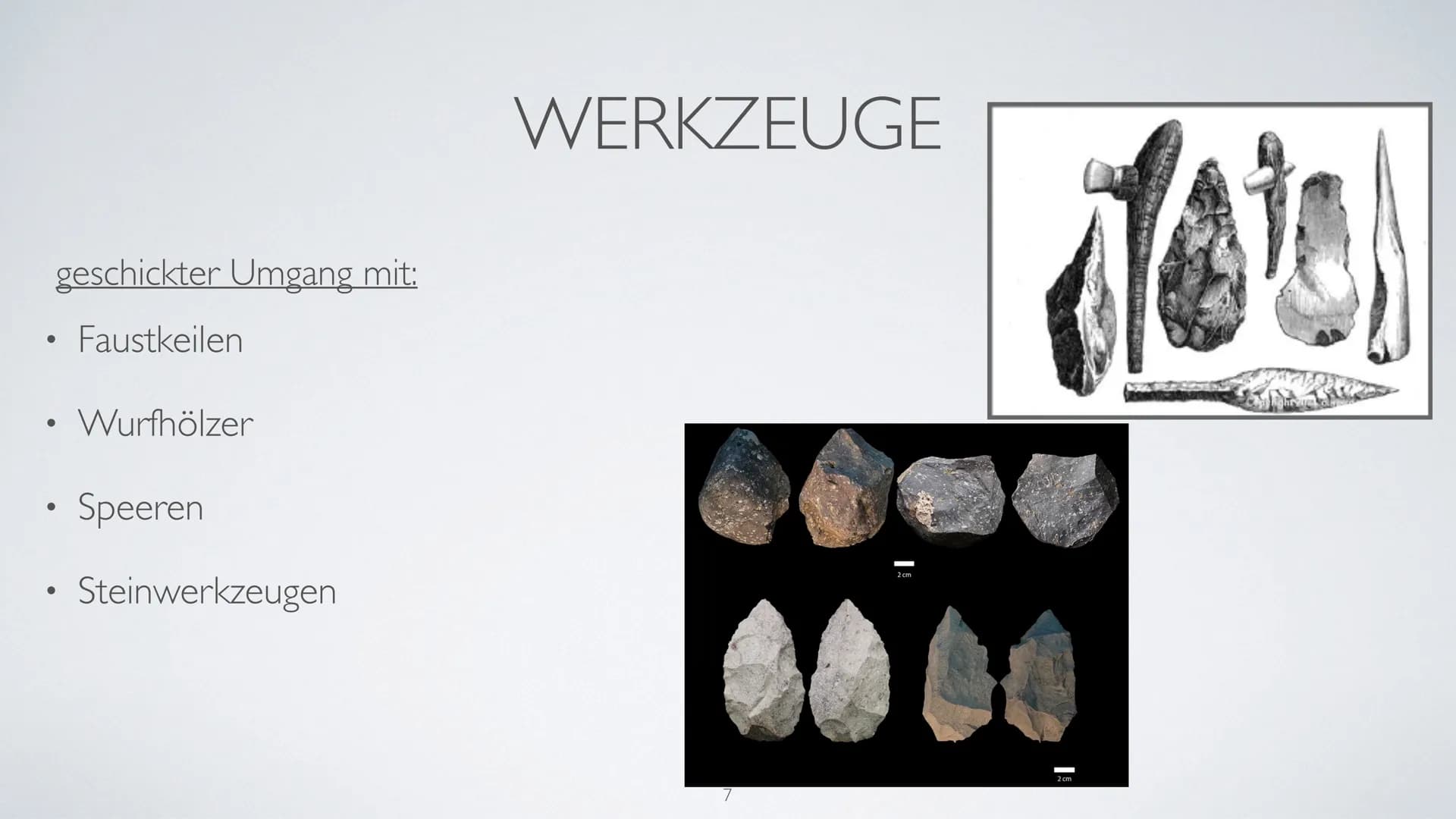 AUF DEM WEG
ZUM MENSCHEN
Wer ist Homo Erectus? ●
●
●
●
●
INHALTSVERZEICHNIS
Bedeutung des Namens
Entdeckungsort
Lebzeit/Lebensort
Beschaffen