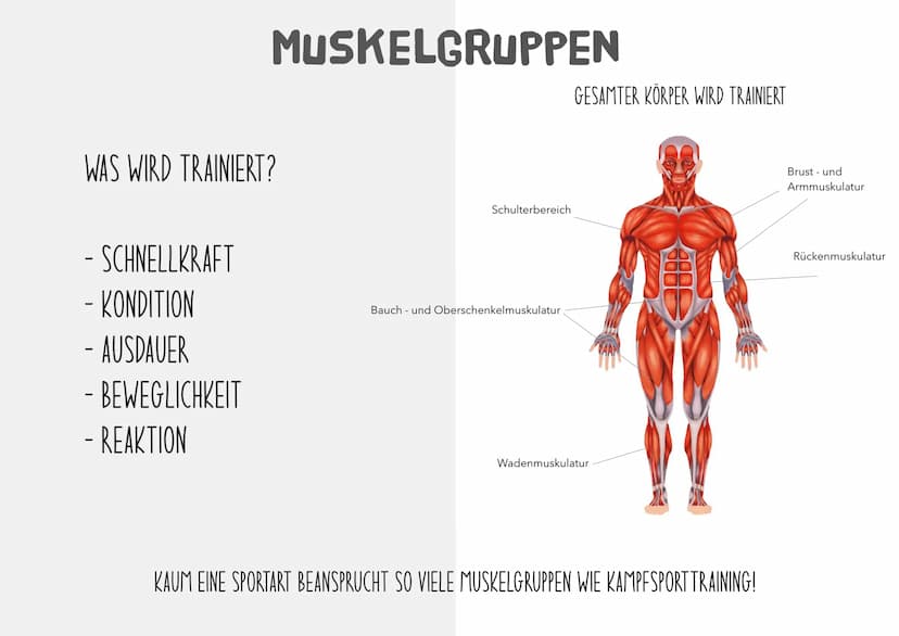 KICKBOXEN GLIEDERUNG
- WAS IST KICKBOXEN FÜR EIN SPORT?
- GESCHICHTE
- ERFOLGREICHE KICKBOXER*INNEN
- WELCHE MUSKELGRUPPEN WERDEN
BEANSPRUCH