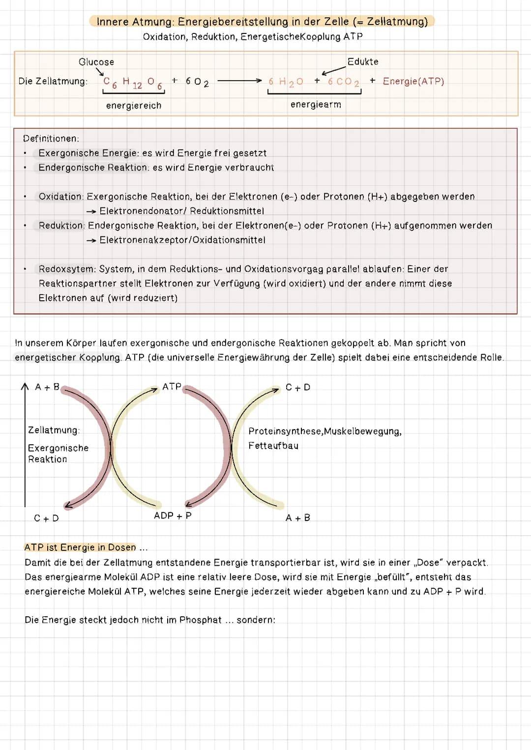 Energiebereitstellung in der Zelle