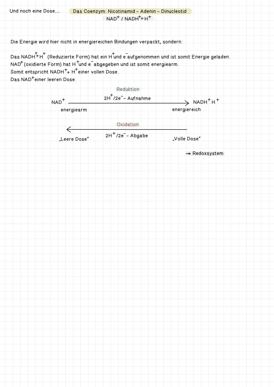 Die Zellatmung:
.
.
Glucose
Innere Atmung: Energiebereitstellung in der Zelle (= Zellatmung)
Oxidation, Reduktion, EnergetischeKopplung ATP
