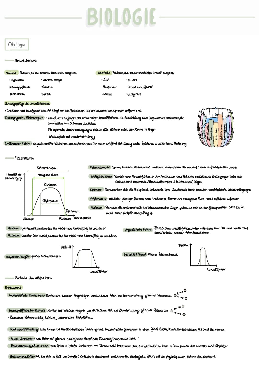 Bio Abitur - Ökologie Lernzettel