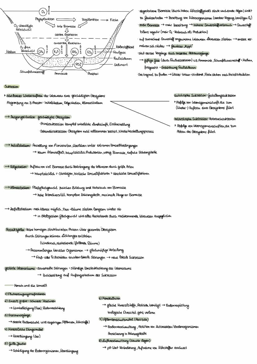 Ökologie
Umweltfaktoren
biotische Faktoren, die von anderen Lebewesen ausgehen
·Artgenossen
•Krankheitserreger
Parasiten
Nahrungspflanzen
• 