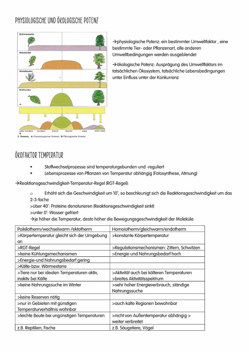 ÖKOLOGIE ÖKOLOGIE
→Wechselwirkungen zwischen Organismen und ihrer Umwelt sowie den Beziehungen der Organismen
untereinander
ökologische Eben