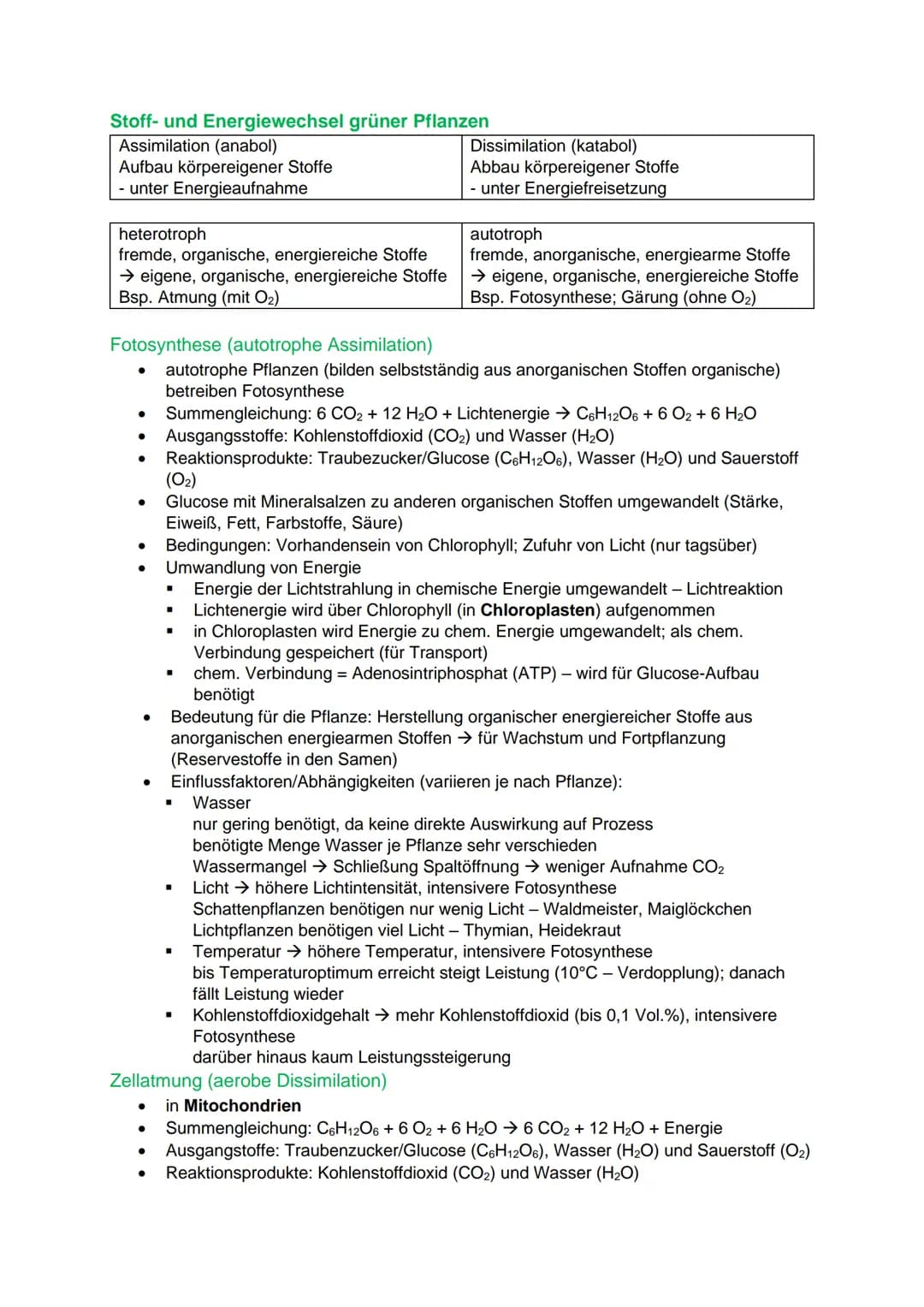 Lebensprozesse von grünen Pflanzen, Pilzen und Bakterien
Laubblatt: Bau und Funktion
●
●
Leitbündel Spaltöffnung
- obere Epidermis
●
-Palisa