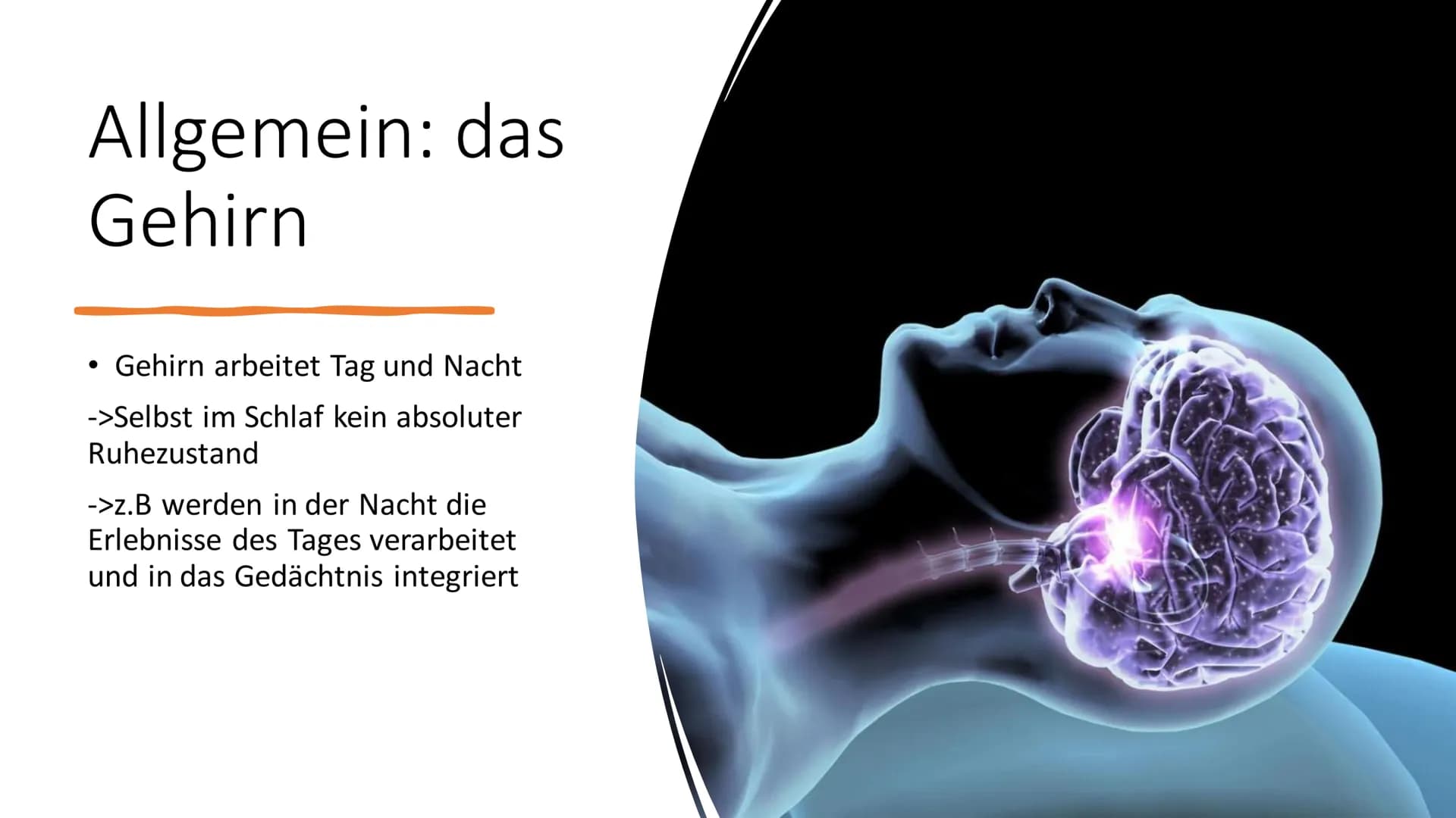 Aufbau & Funktion des
menschlichen Gehirns Inhalt
Allgemeine Fakten zum Gehirn
Grundlegender Aufbau des Gehirns
●
• Schutz des Gehirns
Unter