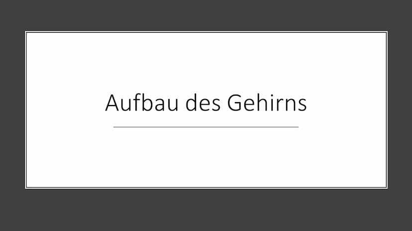 Aufbau & Funktion des
menschlichen Gehirns Inhalt
Allgemeine Fakten zum Gehirn
Grundlegender Aufbau des Gehirns
●
• Schutz des Gehirns
Unter