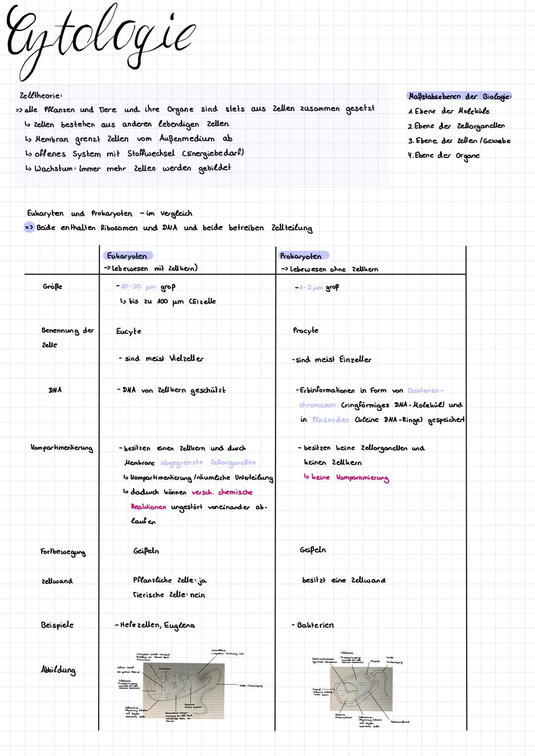 # Eytologie

Zelltheorie
=> alle Pflanzen und Tiere und ihre Organe sind stets aus Zellen zusammen gesetzt

↳ zellen bestehen aus anderen le