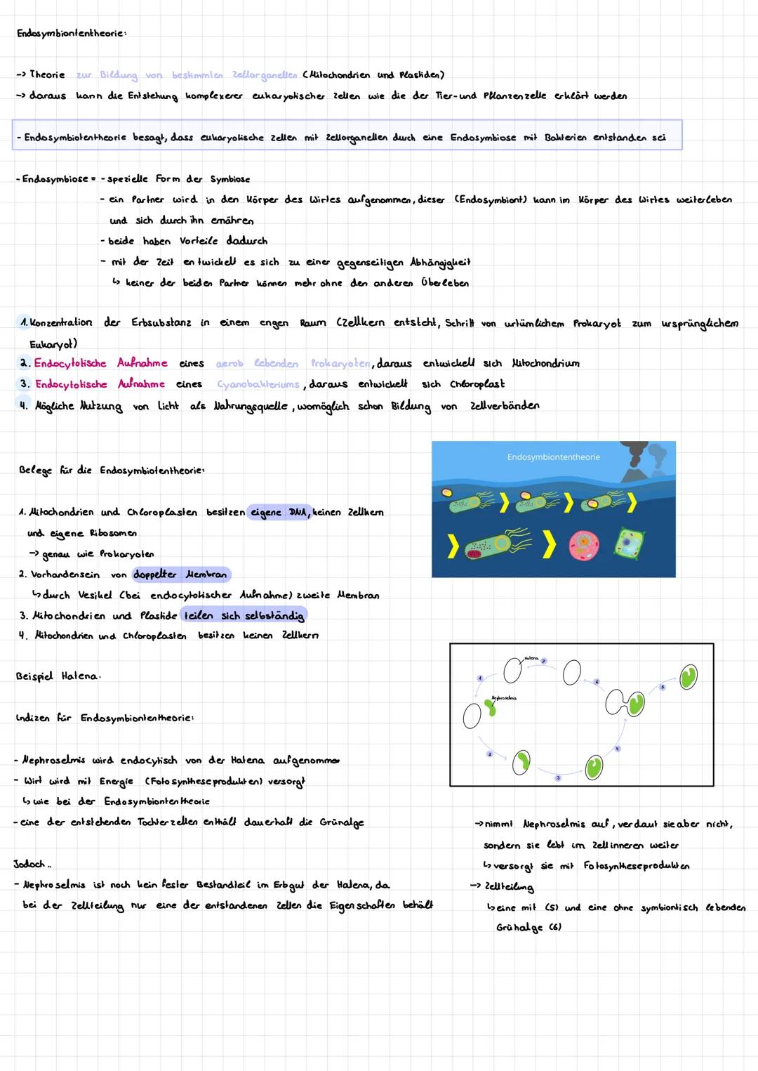 # Eytologie

Zelltheorie
=> alle Pflanzen und Tiere und ihre Organe sind stets aus Zellen zusammen gesetzt

↳ zellen bestehen aus anderen le