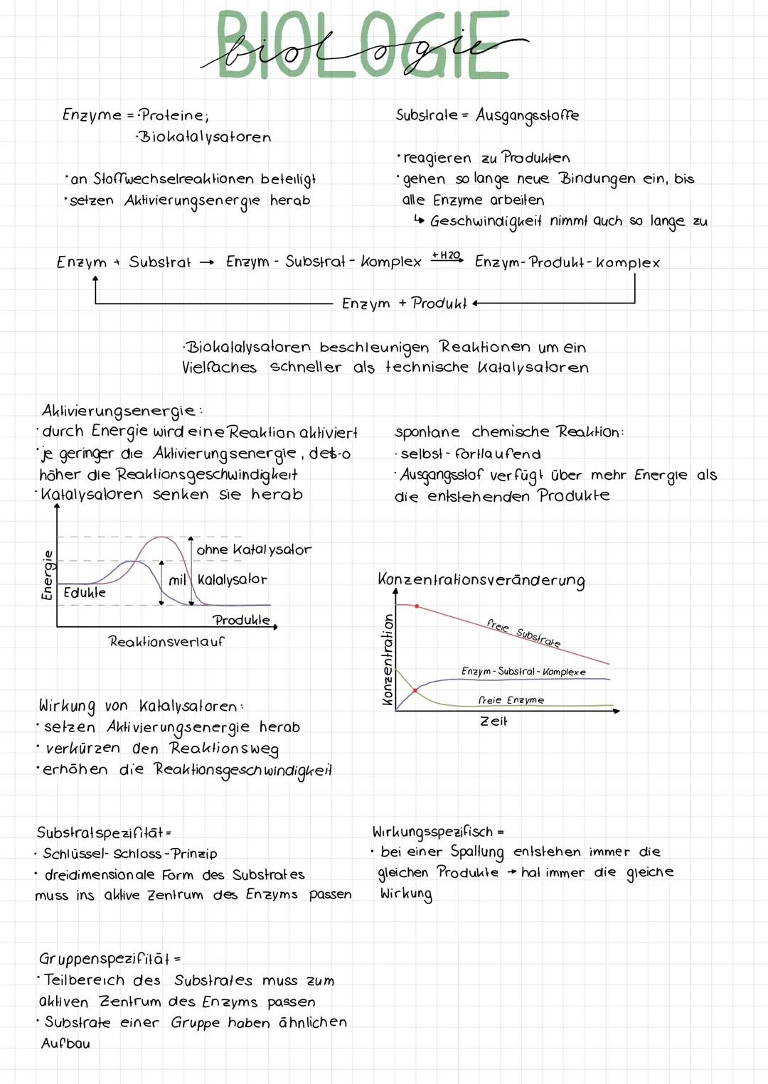 # BIOLOGIE

Enzyme = Proteine;
*   Biokatalysatoren

*an Stoffwechselreaktionen beteiligt
*setzen Aktivierungsenergie herab

Enzym Substrat
