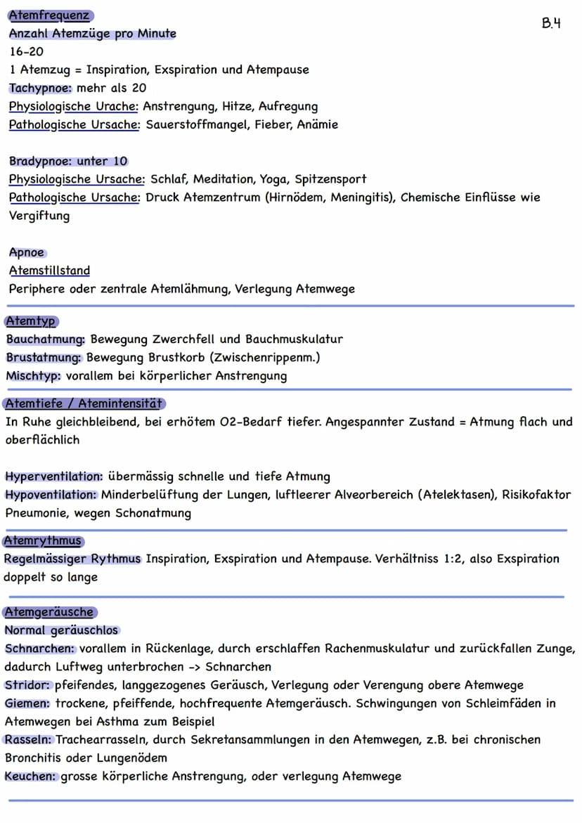 Atmung
Durch Atmung 02 aufnehmen ins Blut und CO2 als Abfallprodukt ausgeatmet.
Einflussfaktoren
Körperlich: Schlaf langsamer, SS, bei
Anstr