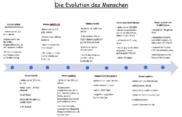 Know Evolution des Menschen Zeitstrahl thumbnail