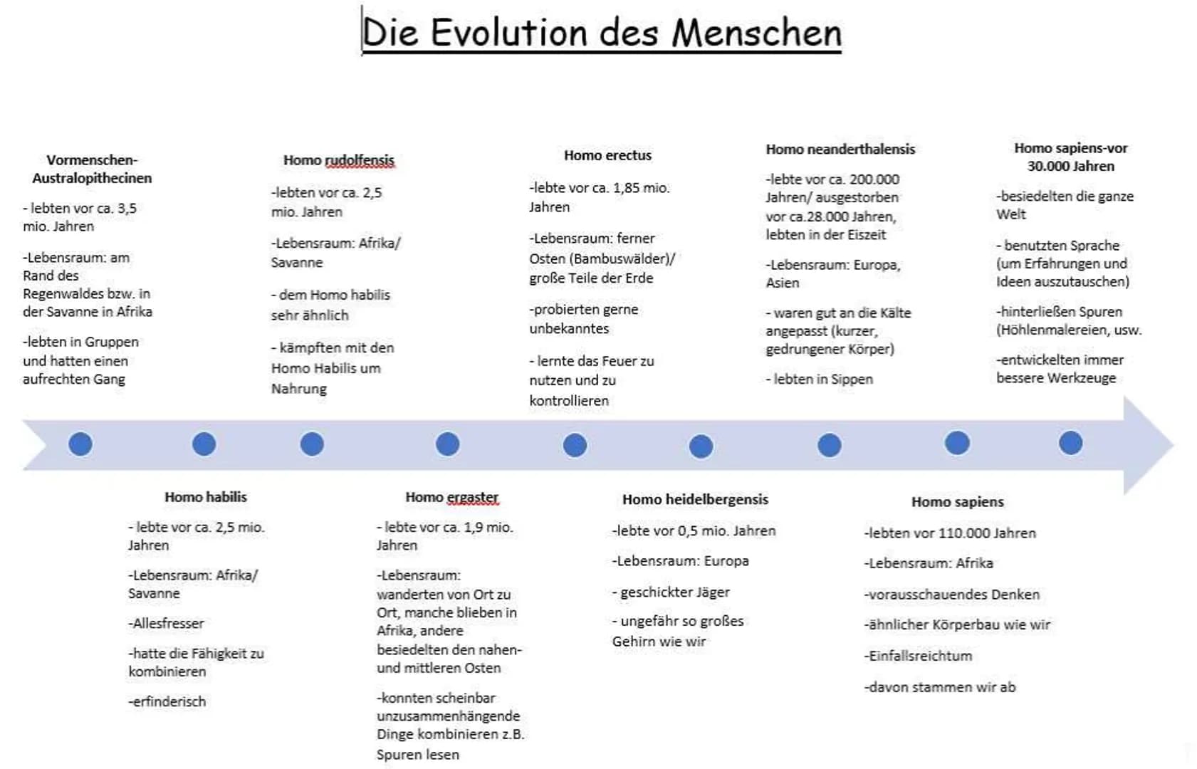 Vormenschen-
Australopithecinen
- lebten vor ca. 3,5
mio. Jahren
-Lebensraum: am
Rand des
Regenwaldes bzw. in
der Savanne in Afrika
-lebten 