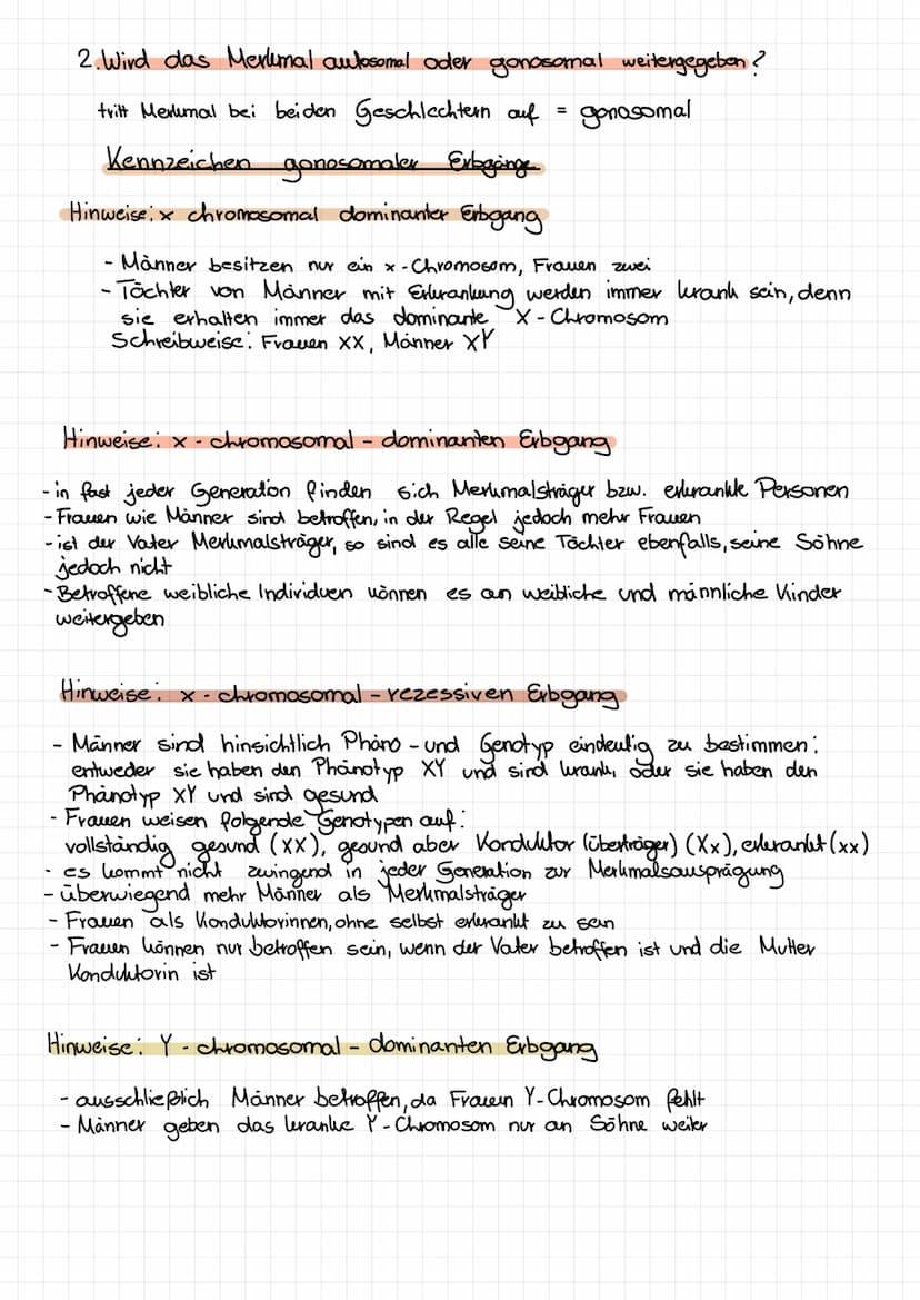 Stammbaumanalyse
Ziel: anhand von phänotypischen Merkmalen auf die genotypischen
Anlagen zu schließen
Legende nicht
vergessen:
1. Wird das M