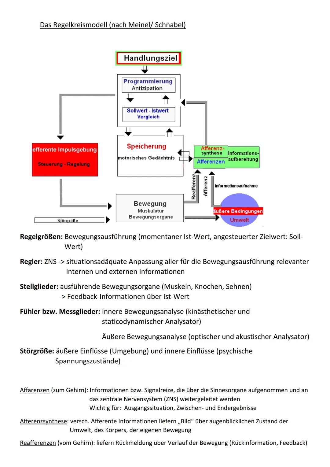 12.1 Bewegungslehre
a) Morphologische Betrachtungsweise
a. Bewegungsbeschreibung
●
●
Untersuchung des äußerlich sichtbaren Teils einer Beweg