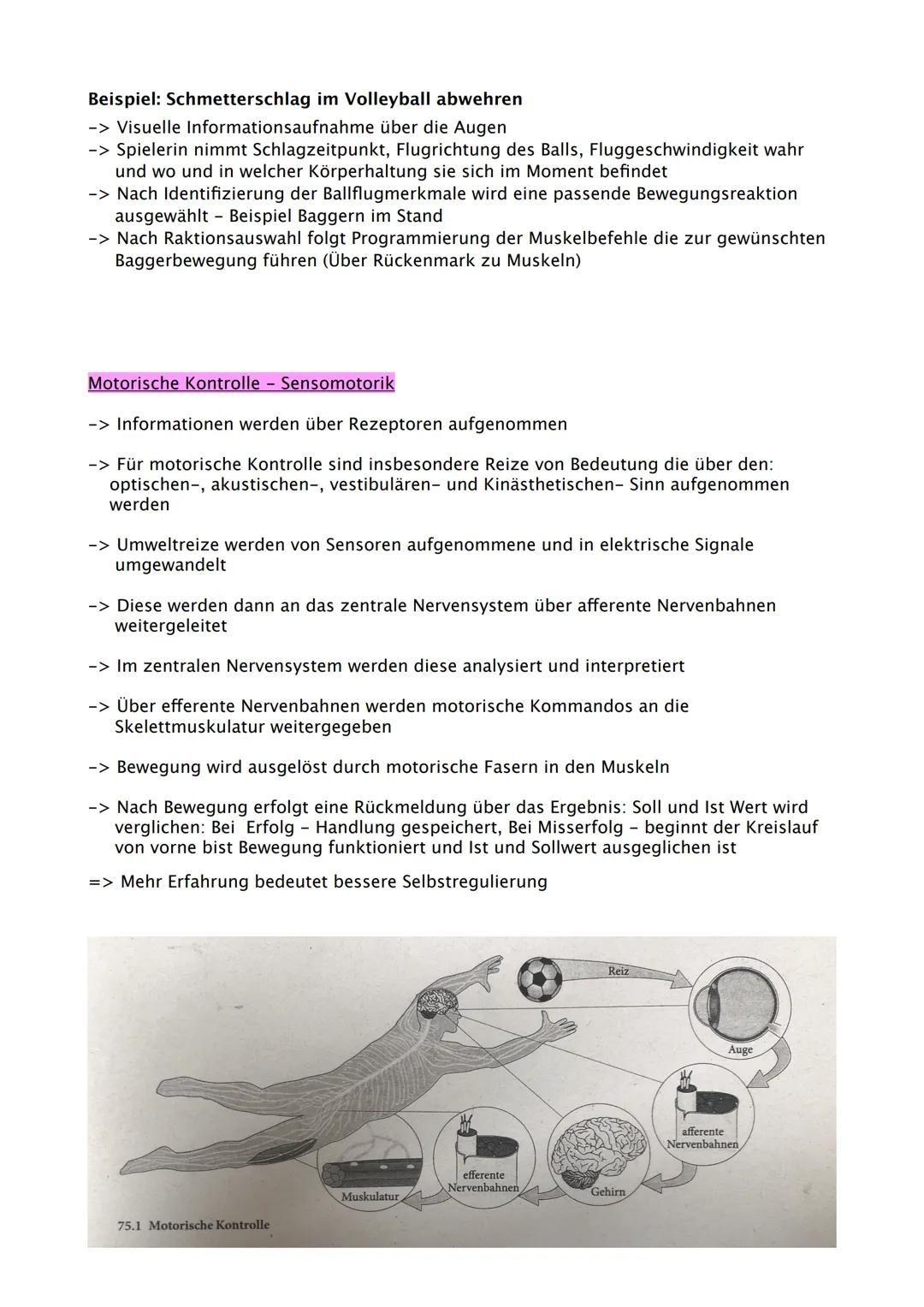 Sport Abitur 2021
Hessen Ab 02.02. Fokus auf Q
Q1.1 Kondition
- Strukturmodell Kondition (Kraft, Schnelligkeit, Ausdauer, Beweglichkeit und 