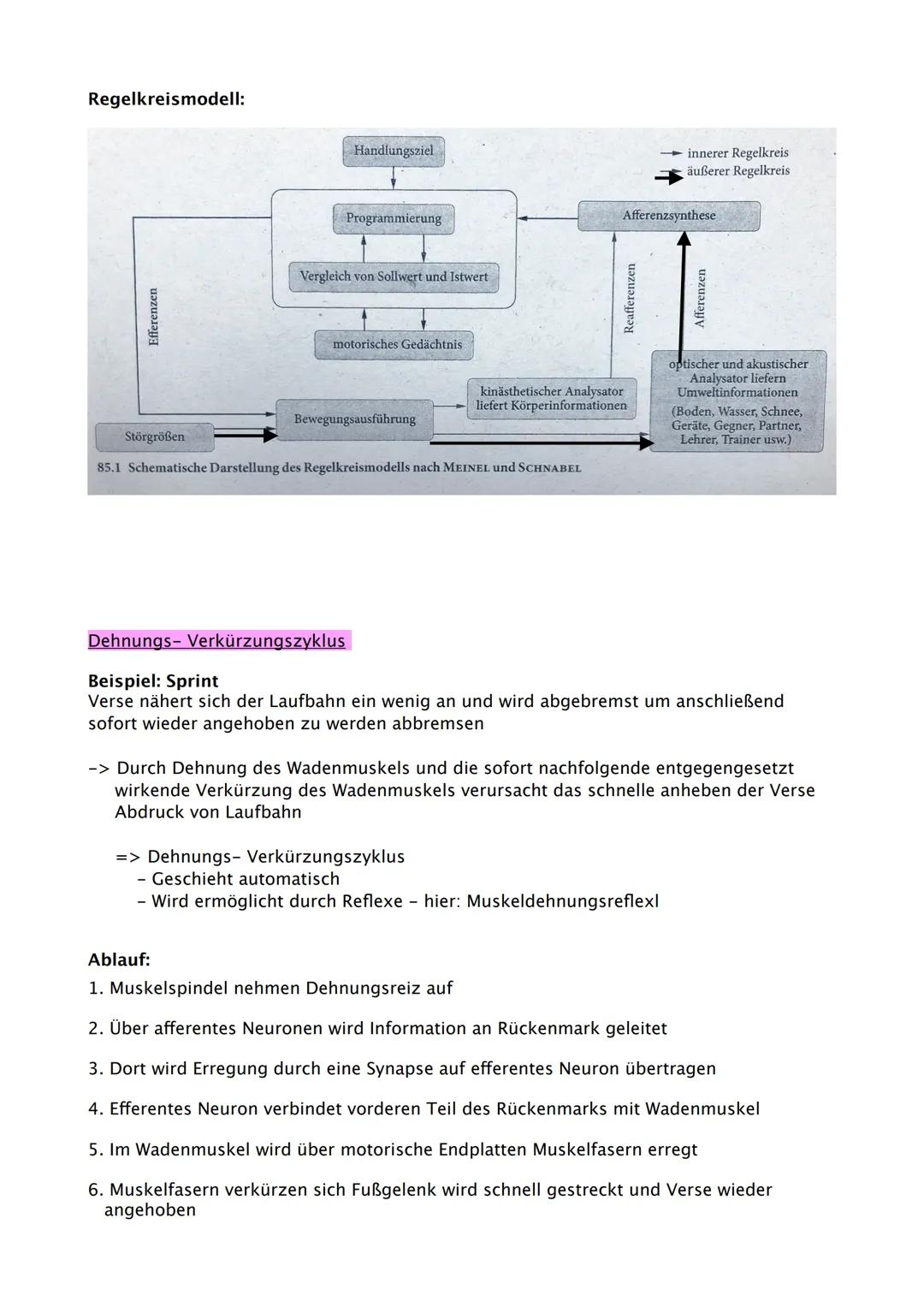 Sport Abitur 2021
Hessen Ab 02.02. Fokus auf Q
Q1.1 Kondition
- Strukturmodell Kondition (Kraft, Schnelligkeit, Ausdauer, Beweglichkeit und 