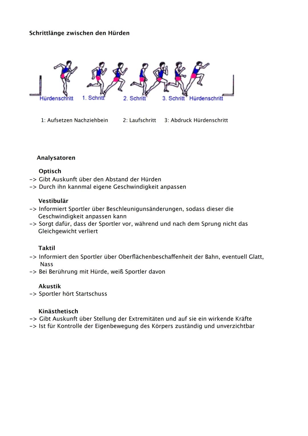 Sport Abitur 2021
Hessen Ab 02.02. Fokus auf Q
Q1.1 Kondition
- Strukturmodell Kondition (Kraft, Schnelligkeit, Ausdauer, Beweglichkeit und 