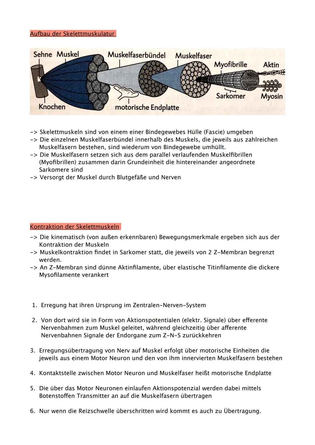 Sport Abitur 2021
Hessen Ab 02.02. Fokus auf Q
Q1.1 Kondition
- Strukturmodell Kondition (Kraft, Schnelligkeit, Ausdauer, Beweglichkeit und 