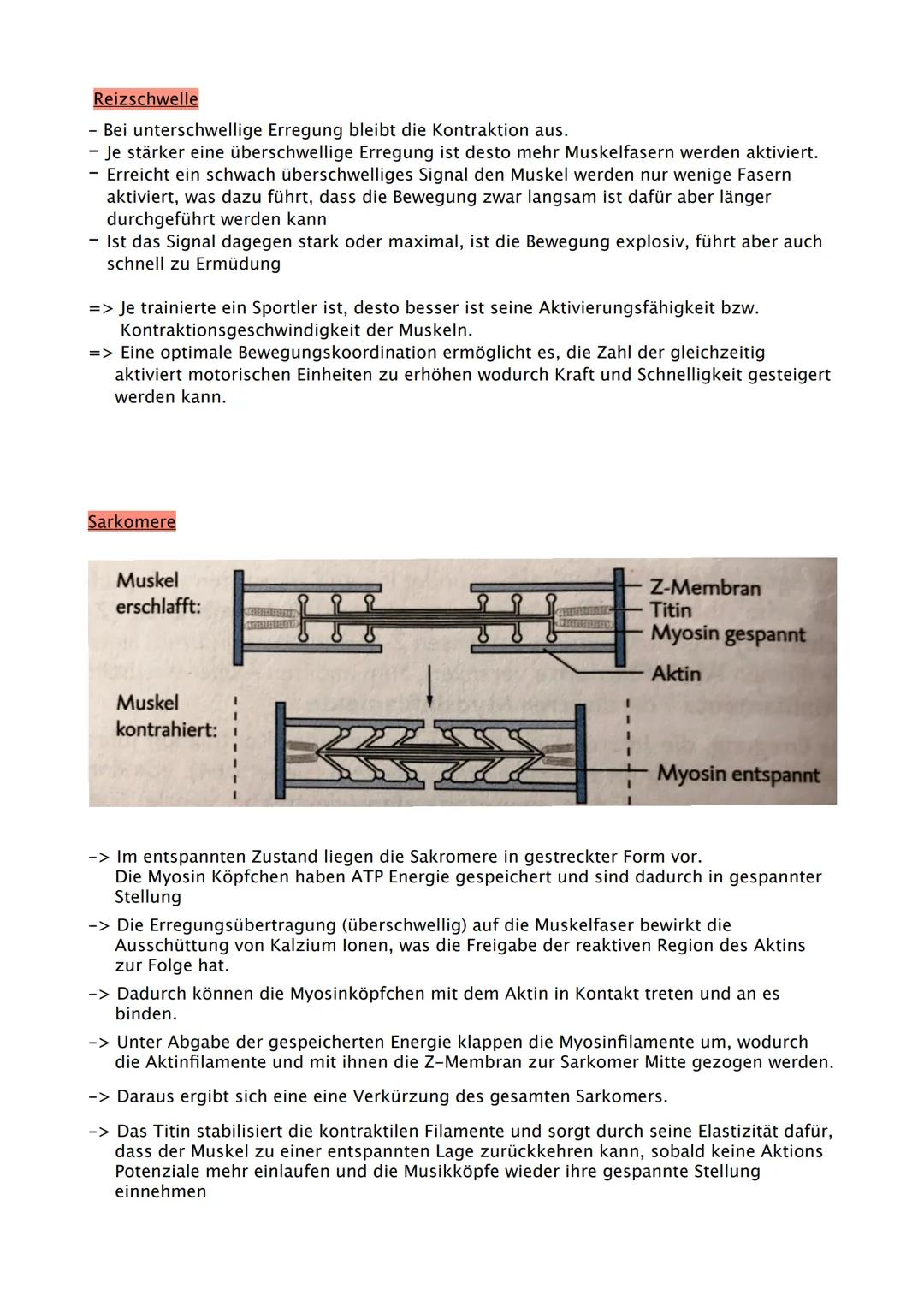 Sport Abitur 2021
Hessen Ab 02.02. Fokus auf Q
Q1.1 Kondition
- Strukturmodell Kondition (Kraft, Schnelligkeit, Ausdauer, Beweglichkeit und 