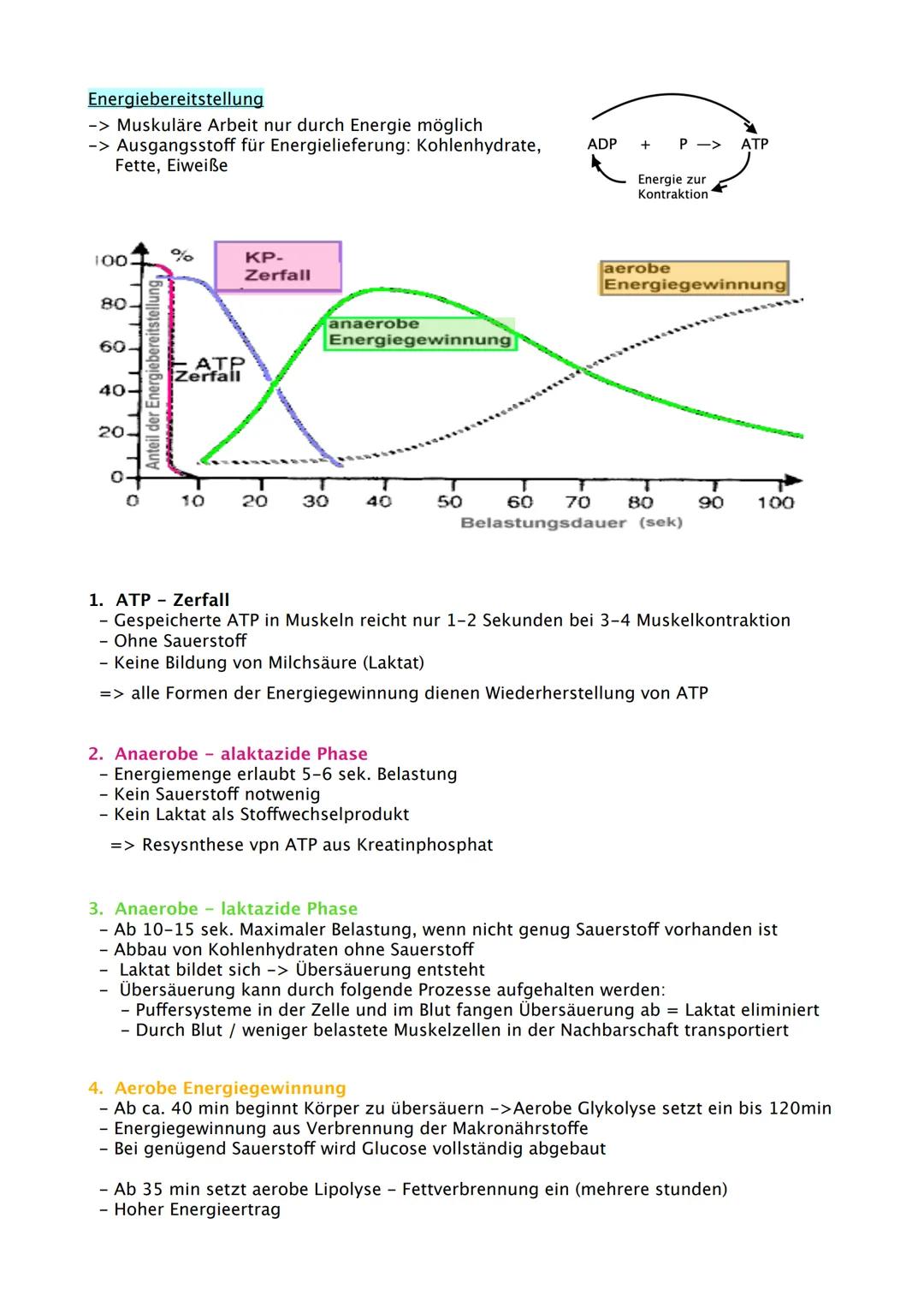 Sport Abitur 2021
Hessen Ab 02.02. Fokus auf Q
Q1.1 Kondition
- Strukturmodell Kondition (Kraft, Schnelligkeit, Ausdauer, Beweglichkeit und 