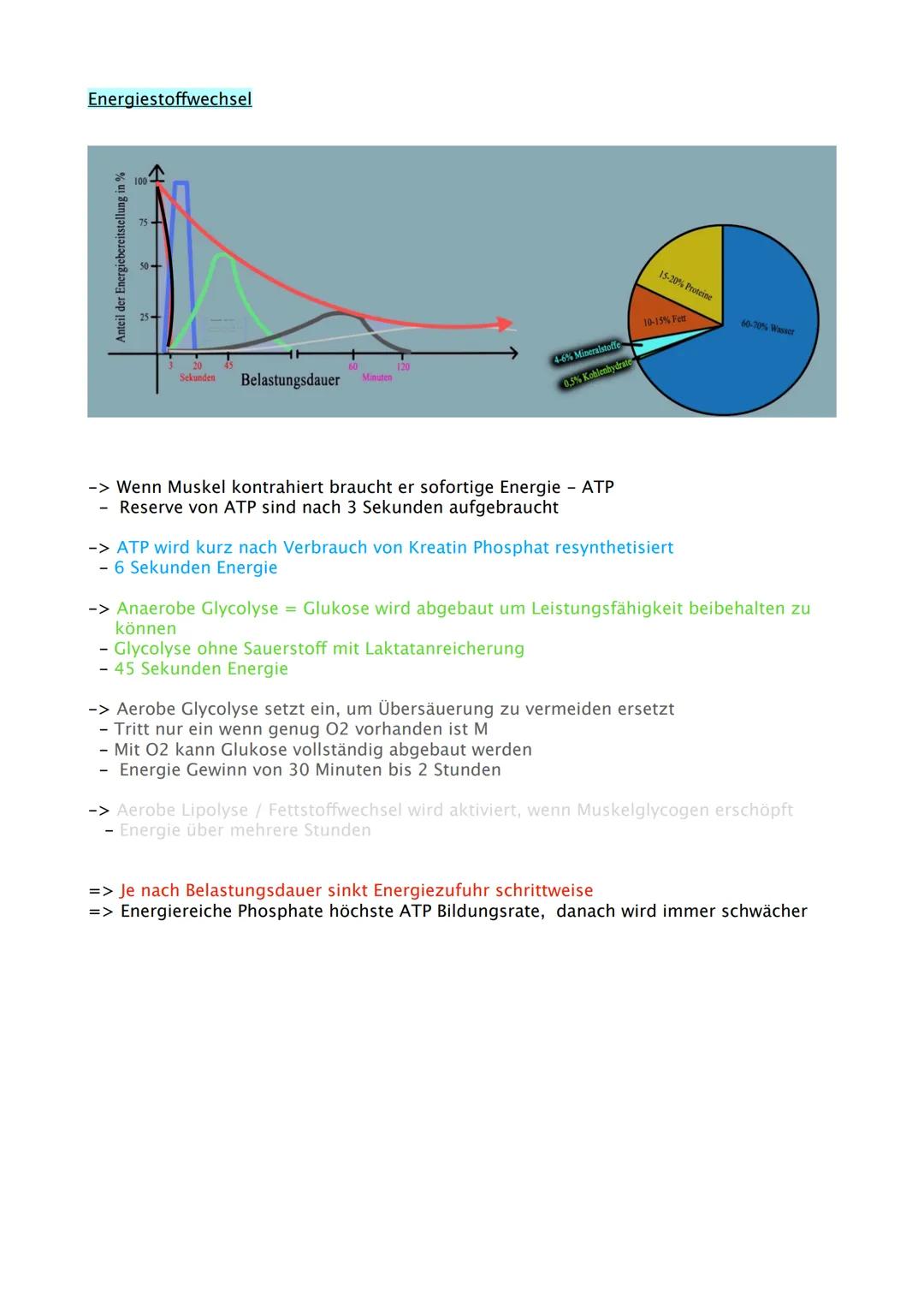 Sport Abitur 2021
Hessen Ab 02.02. Fokus auf Q
Q1.1 Kondition
- Strukturmodell Kondition (Kraft, Schnelligkeit, Ausdauer, Beweglichkeit und 