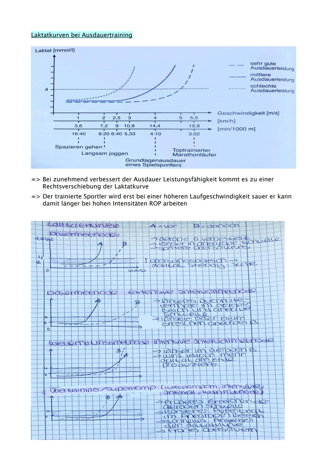 Sport Abitur 2021
Hessen Ab 02.02. Fokus auf Q
Q1.1 Kondition
- Strukturmodell Kondition (Kraft, Schnelligkeit, Ausdauer, Beweglichkeit und 