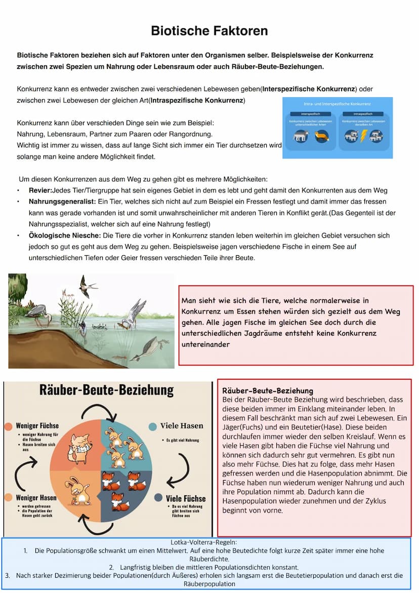 Q2.1 Strukturierung von Ökosystemen an einem Beispiel
Bei der Erarbeitung der im Folgenden genannten Stichpunkte sollen sich
ausgewählte Bei