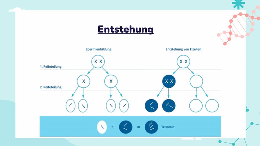Down-Syndrom
!!!!!
PA Gliederung
- Was ist Trisomie 21?
-
Entdeckung
- Ursache
- Enstehung
- Körperliche Auffälligkeiten
- Behandlung
- Vork