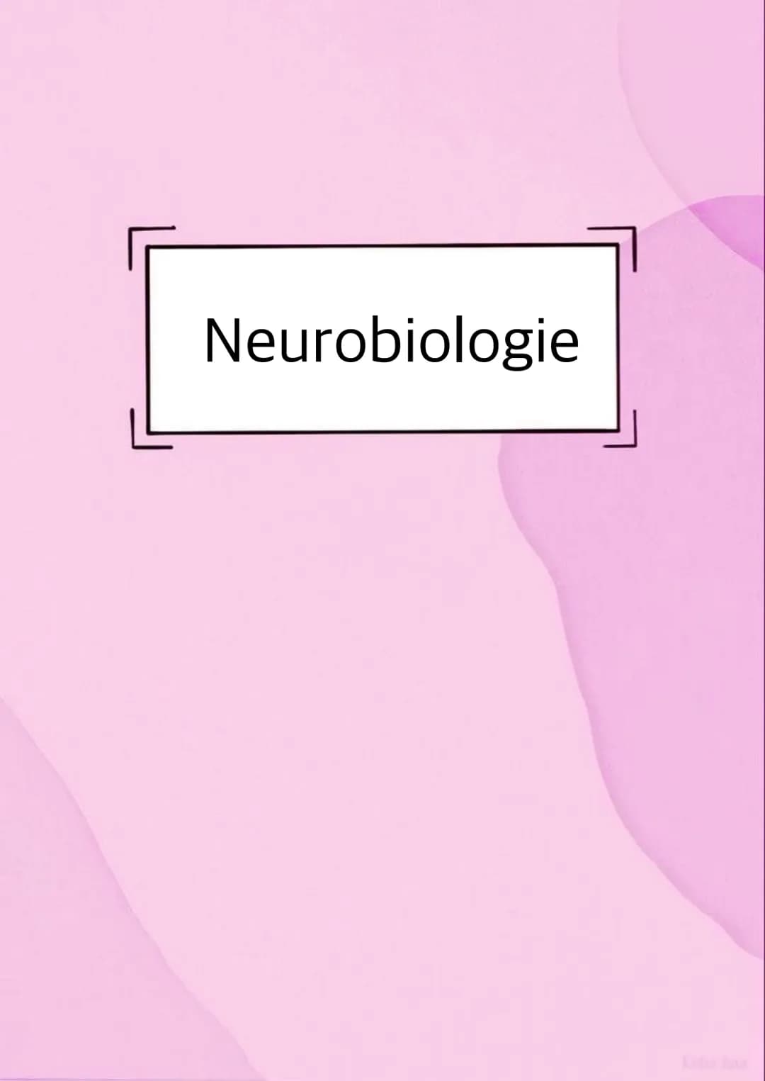 Neurobiologie VORABHINWEISE:
GRUND- und LEISTUNGSKURS:
Markhaltig Nervenzelle
Membranpotentiale und Erregungsleitung
Bau und Funktion der Sy