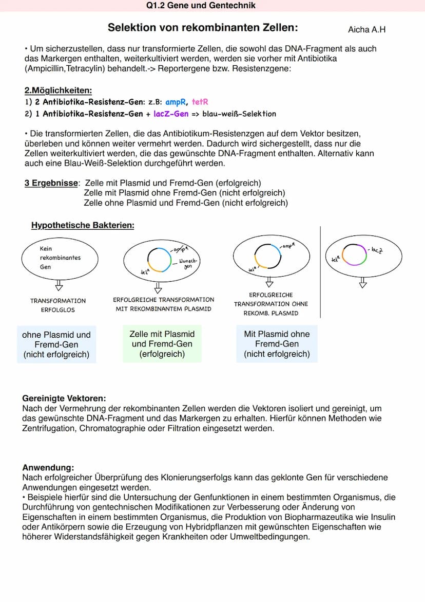 Q1.2 Gene und Gentechnik
Aicha A.H
Genklonierung
Verfahren, bei dem ein gewünschtes DNA-Fragment in einen Vektor wie ein Plasmid eingefügt
w