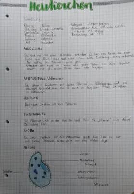 Know Heutierchen thumbnail