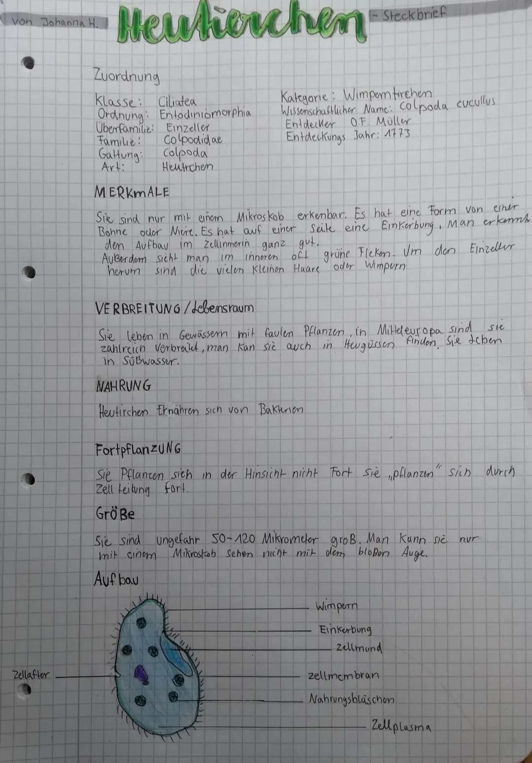 von Johanna H.
Zellafter
Heulierchen
Zuordnung
Klasse: Ciliatea
Ordnung: Entodiniomorphia
Überfamilie: Einzeller
Familie!
Galtung: Colpoda
A