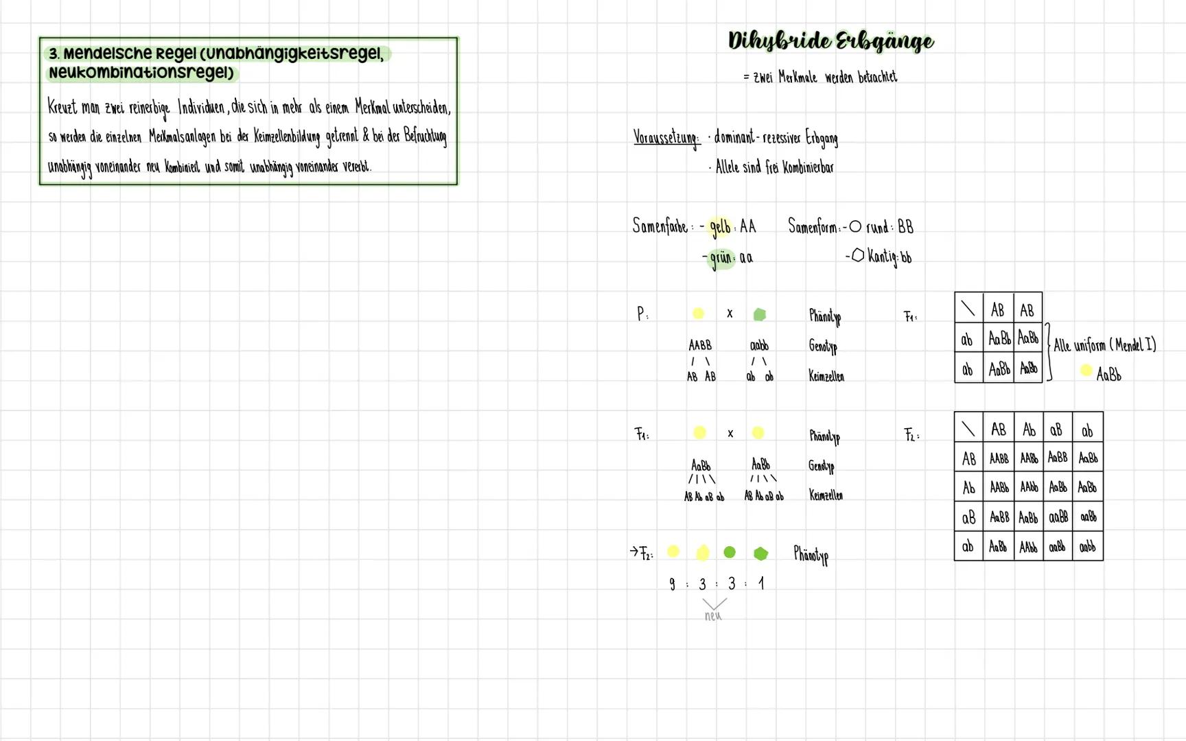 # MENDELSCHE REGELN

Gregor Mendel

- Katholischer Priester & bedeutender Naturforscher

- fühlte über Jahre Kreuzungsexperimente im Kloster
