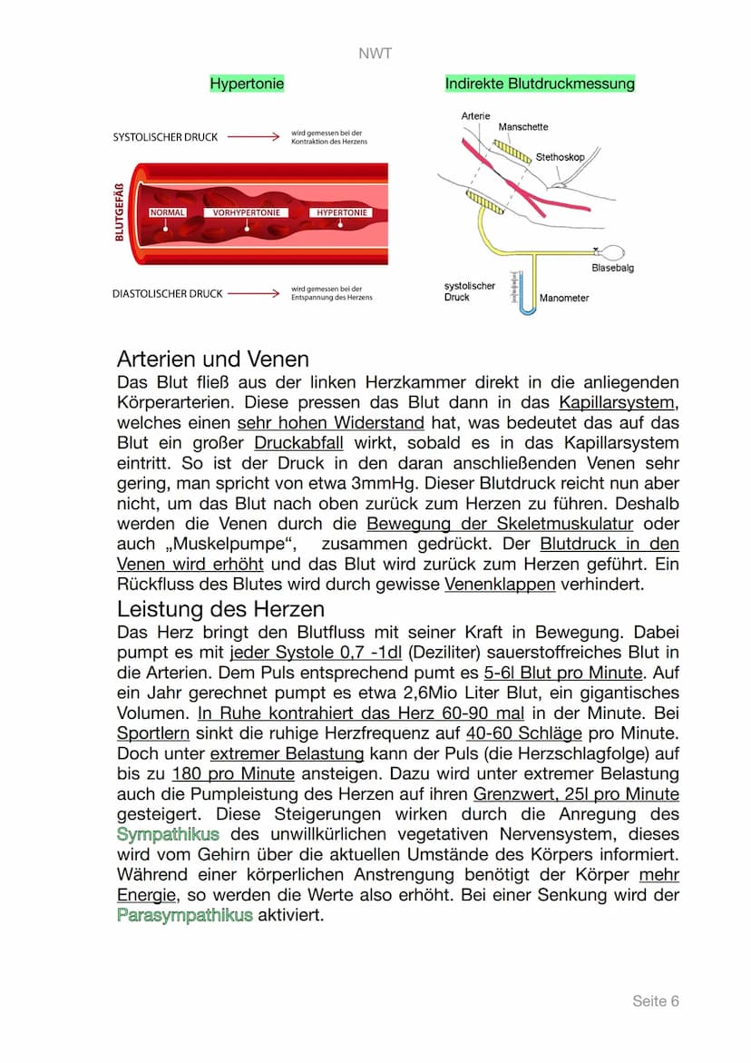 NWT
Lerntagebuch
Digitale Gesundheit
PHYSIOLOGIE
Seite 1 Inhaltsangabe
1. Digitale Gesundheit
II. Physiologie
III. Messbare Vitalwerte
A. Pu