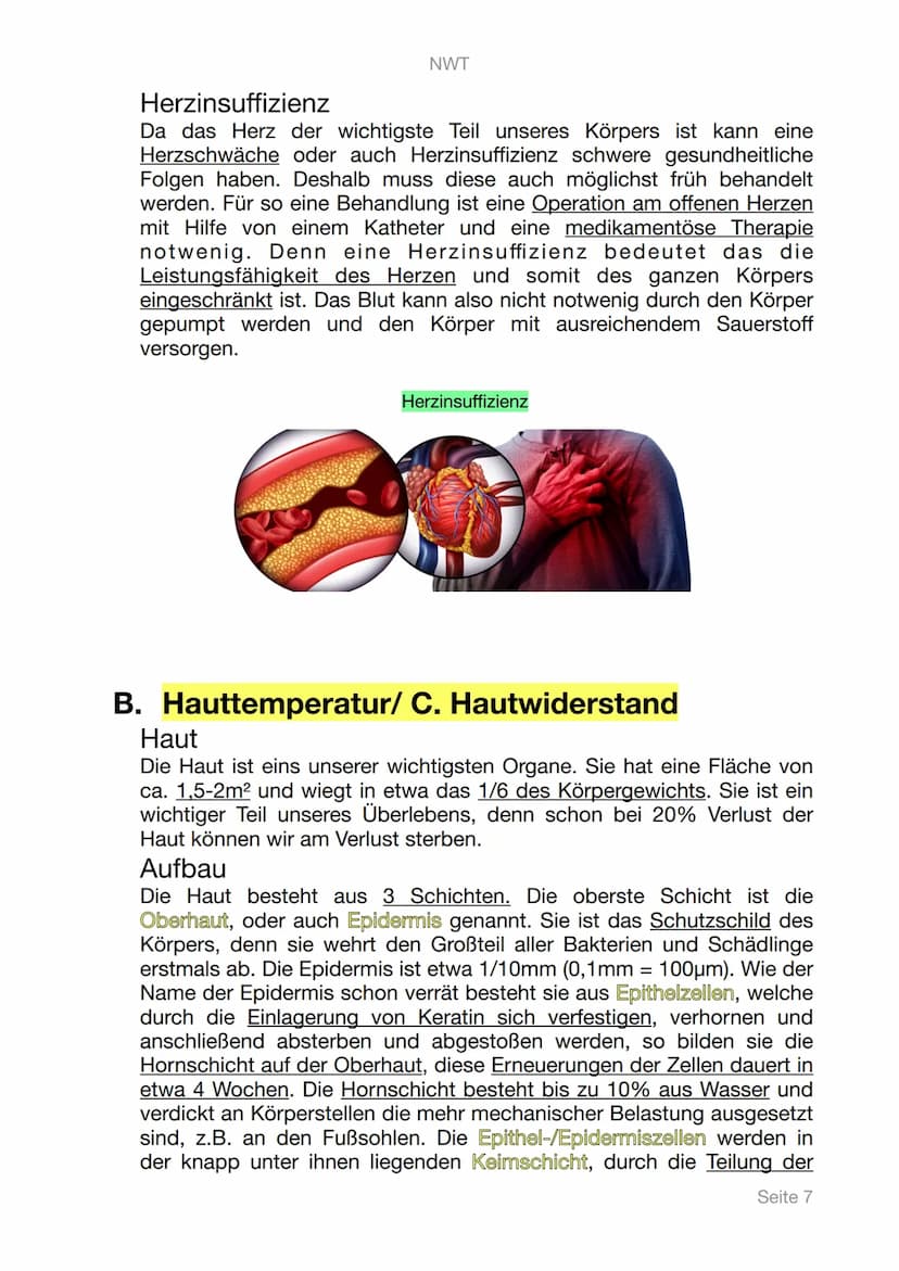 NWT
Lerntagebuch
Digitale Gesundheit
PHYSIOLOGIE
Seite 1 Inhaltsangabe
1. Digitale Gesundheit
II. Physiologie
III. Messbare Vitalwerte
A. Pu