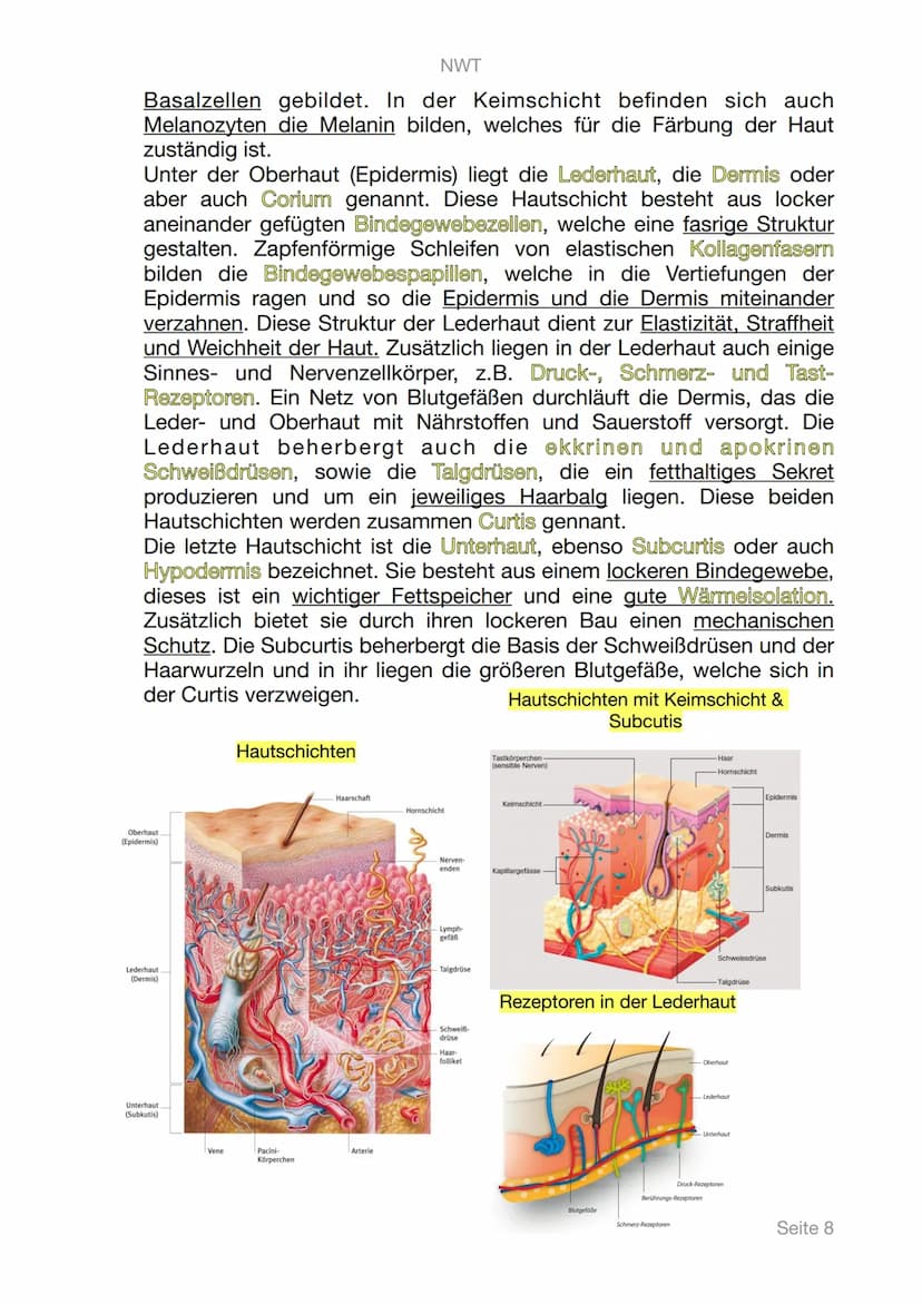 NWT
Lerntagebuch
Digitale Gesundheit
PHYSIOLOGIE
Seite 1 Inhaltsangabe
1. Digitale Gesundheit
II. Physiologie
III. Messbare Vitalwerte
A. Pu