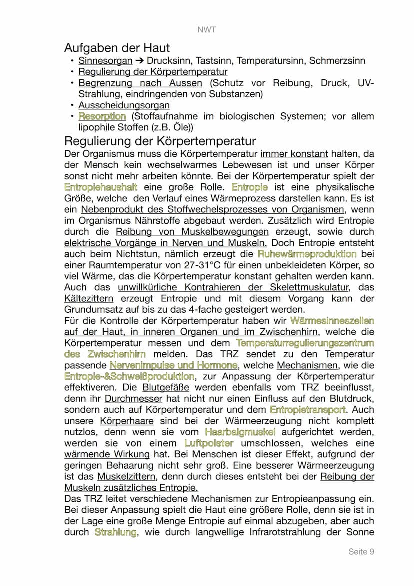 NWT
Lerntagebuch
Digitale Gesundheit
PHYSIOLOGIE
Seite 1 Inhaltsangabe
1. Digitale Gesundheit
II. Physiologie
III. Messbare Vitalwerte
A. Pu
