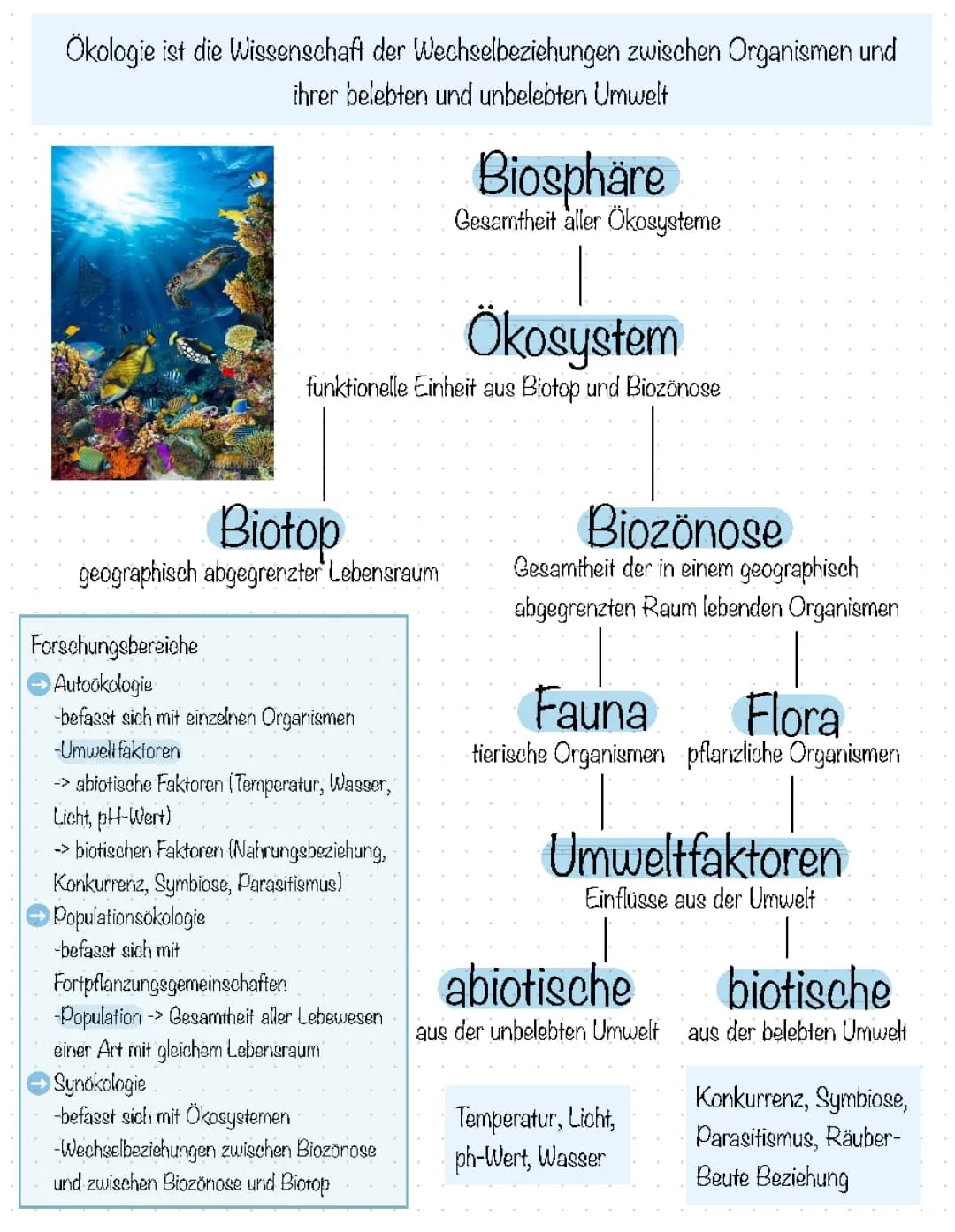 Zusammenfassung Ökologie 