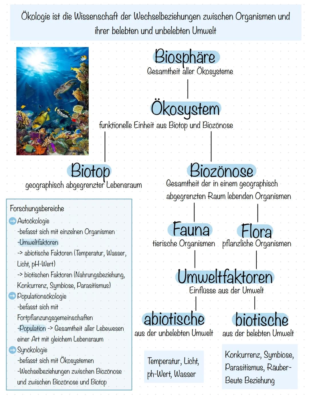 Ökologie ist die Wissenschaft der Wechselbeziehungen zwischen Organismen und
ihrer belebten und unbelebten Umwelt
Ökosystem
funktionelle Ein