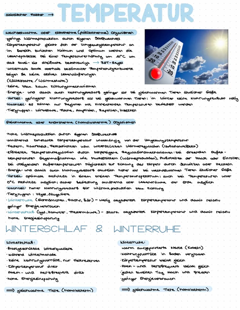 Ökologie ist die Wissenschaft der Wechselbeziehungen zwischen Organismen und
ihrer belebten und unbelebten Umwelt
Ökosystem
funktionelle Ein