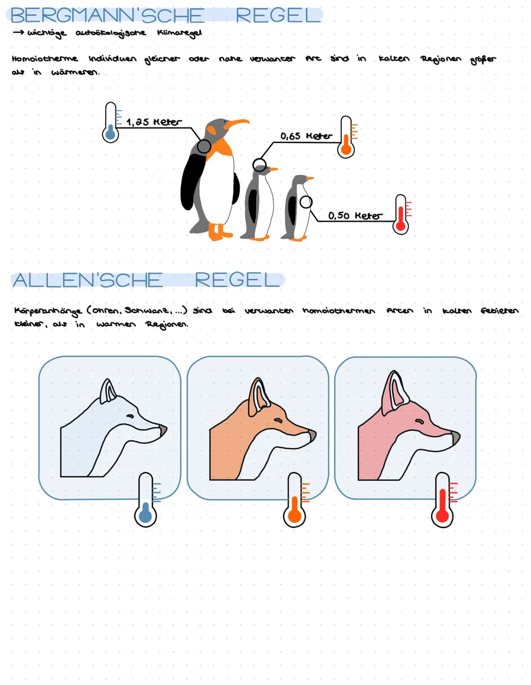 Ökologie ist die Wissenschaft der Wechselbeziehungen zwischen Organismen und
ihrer belebten und unbelebten Umwelt
Ökosystem
funktionelle Ein