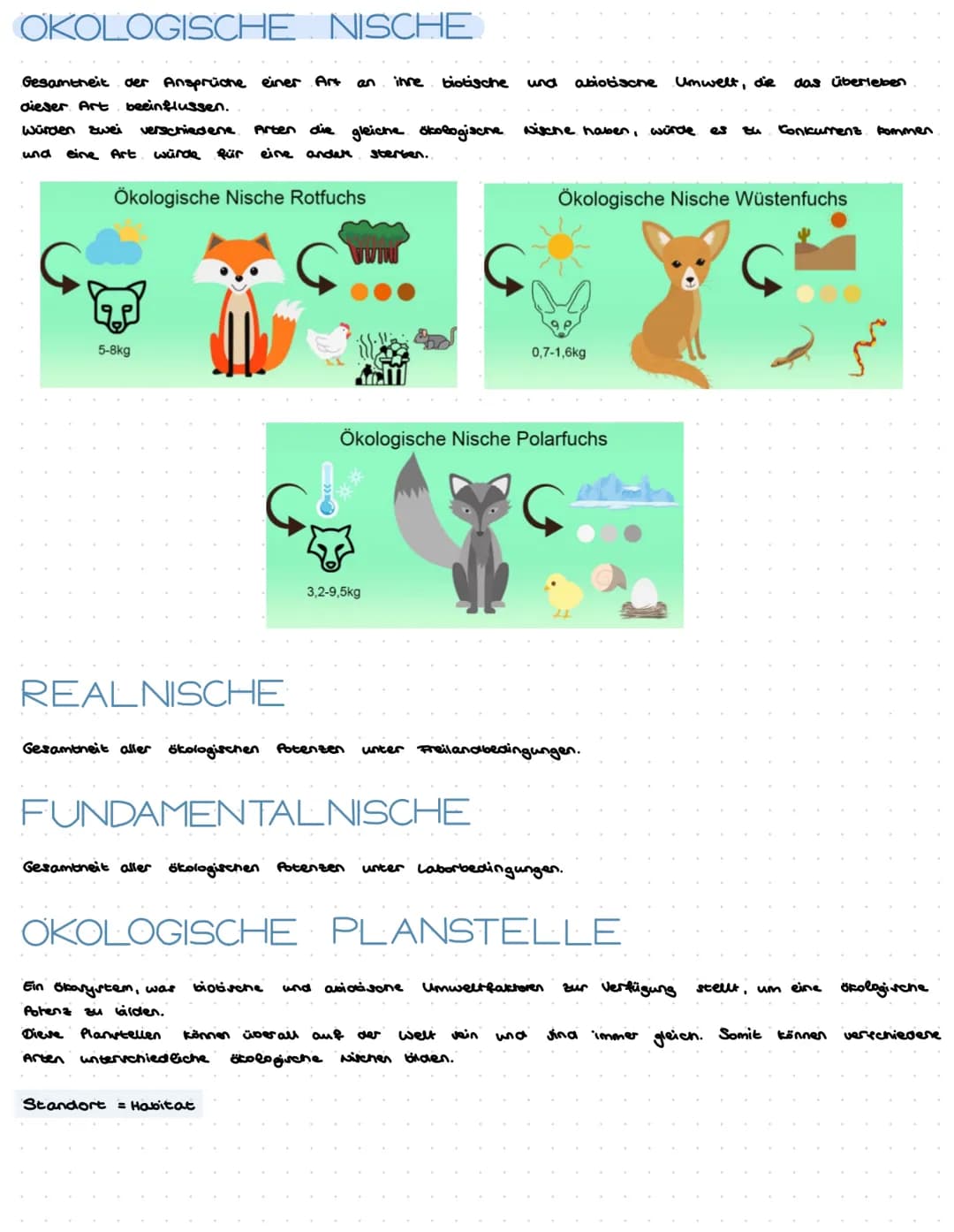 Ökologie ist die Wissenschaft der Wechselbeziehungen zwischen Organismen und
ihrer belebten und unbelebten Umwelt
Ökosystem
funktionelle Ein