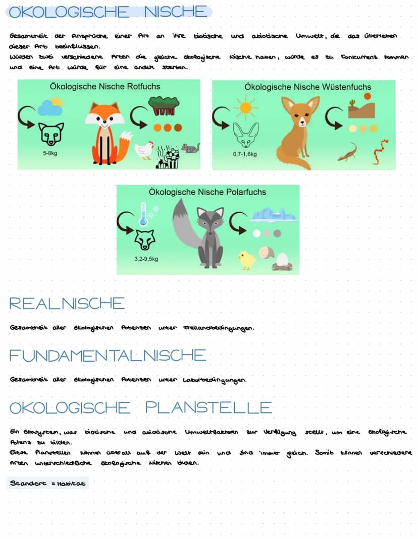 Ökologie ist die Wissenschaft der Wechselbeziehungen zwischen Organismen und
ihrer belebten und unbelebten Umwelt
Ökosystem
funktionelle Ein