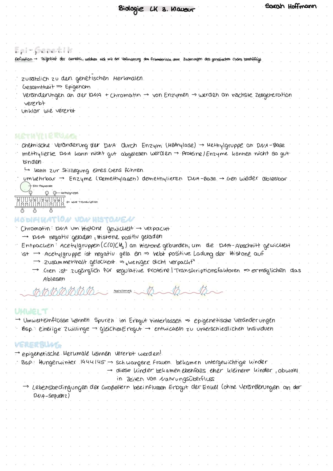 Definition → Teilgebiet der Genetik, welches sich mit der Veränderung des Erbomaderials ohne Anderungen des genetisches codes beschäftigt
zu