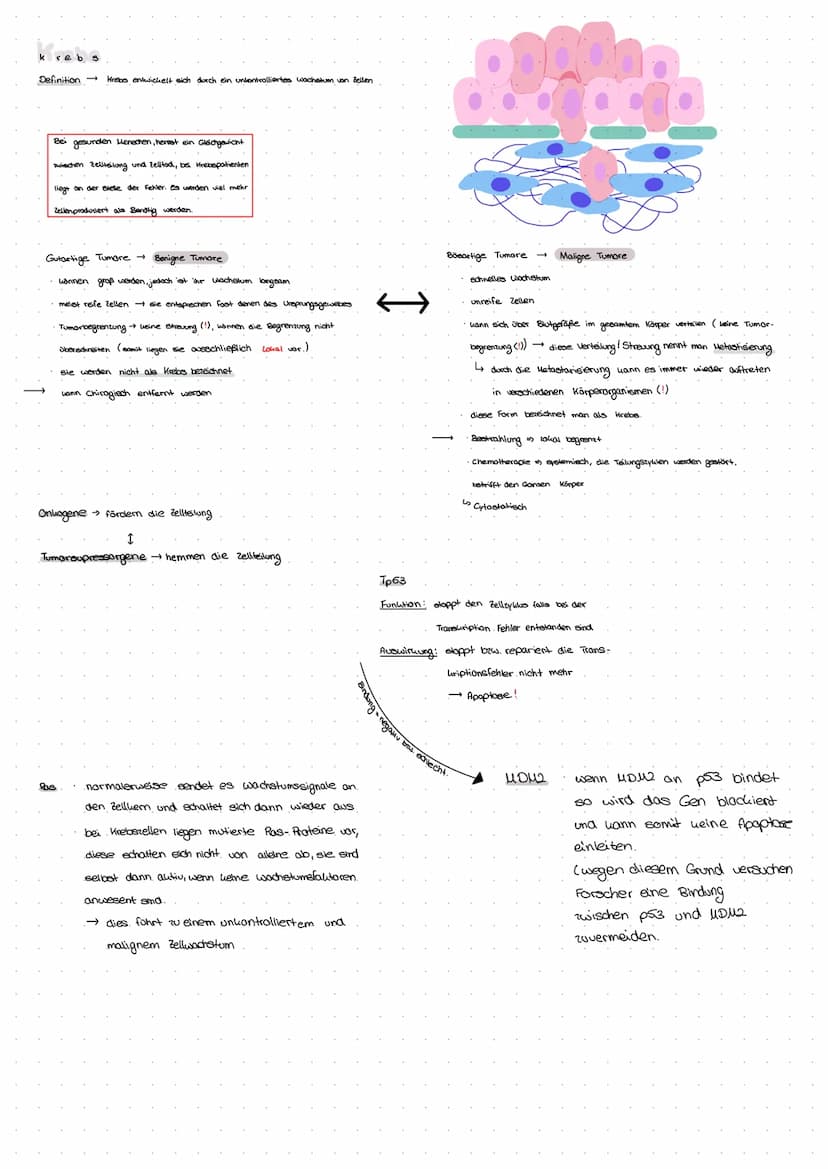 Definition → Teilgebiet der Genetik, welches sich mit der Veränderung des Erbomaderials ohne Anderungen des genetisches codes beschäftigt
zu